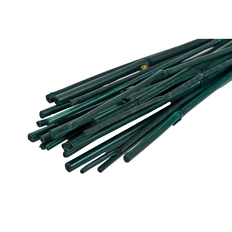 Support de plante de piquet en bambou Neville, H 48 po x l 0,2 po x P 0,49 po
