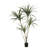 54 " H Faux Yucca Tree in Plastic Pot