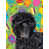 Affenpinscher