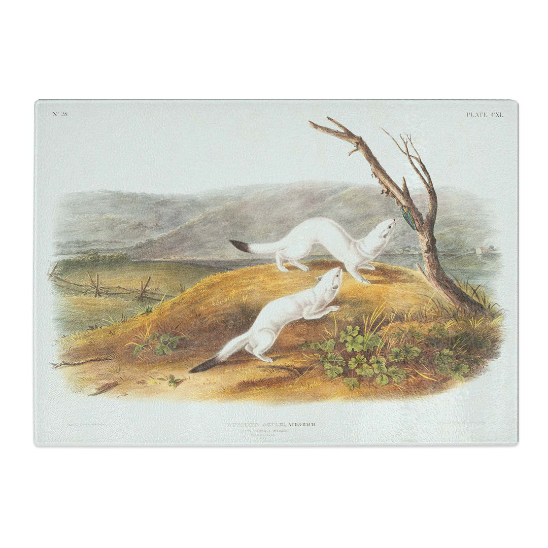 Tempered Glass Little Nimble Weasels by J.W. Audubon Chopping Board