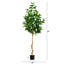 7 pi Ficus Audrey artificiel-1619356197