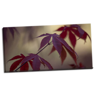 " Burgundy Maple II " by Rita Crane