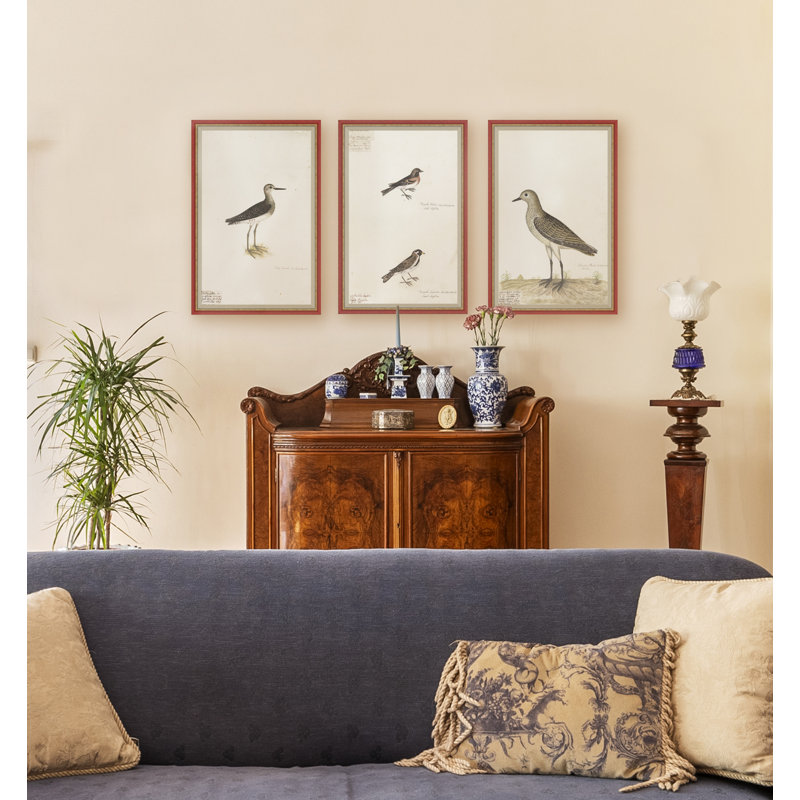 18th Century Bird Re-Strikes XV Painting