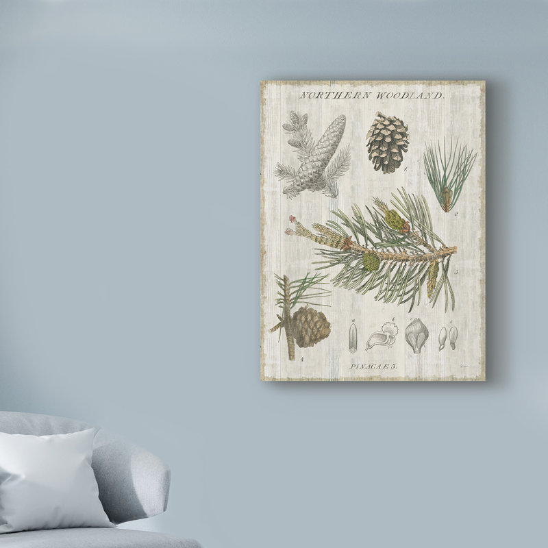 «Woodland Chart III», impression sur toile tendue, H 32 po x l 24 po x P 2 po