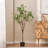 Faux Eucalyptus Tree in Pot-1699599811