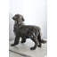 Décoration pour chien debout en aluminium fabriqué à la main Golden Retriever 23 po x 12 po x H 21 po