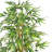 Bamboo Silk Tree-2024237258