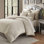 Carlyle 10 Piece King Comforter Set