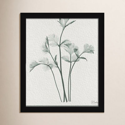 Jeanette "Parsley II" Print by Albert Koetsier