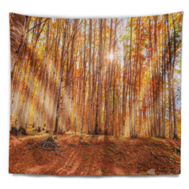 Tapisserie colorée de forêt rouge au coucher du soleil, H 50 po x l 60 po