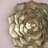 D10x1.4" Succulent Wall Plaque