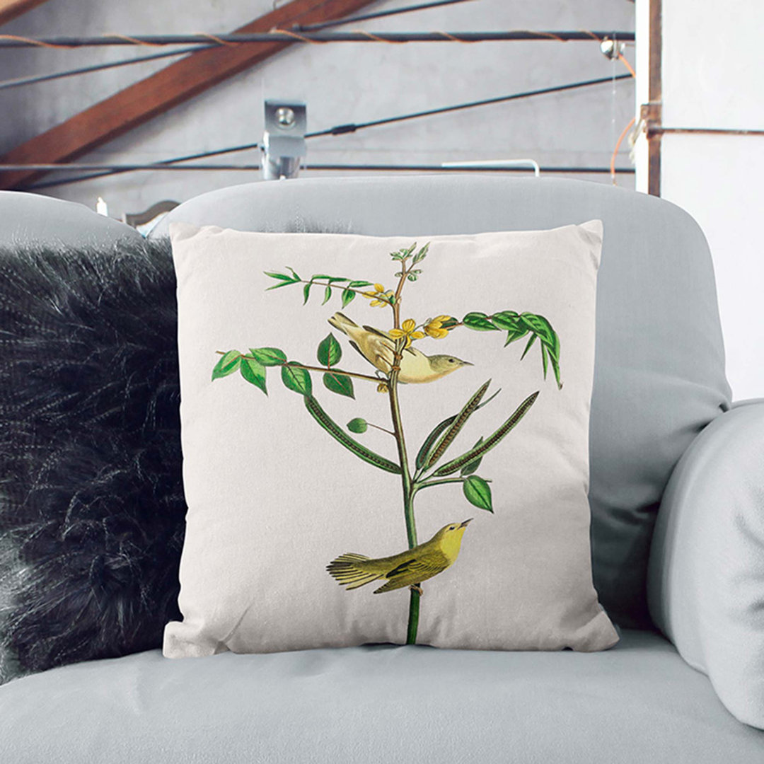 Children's Warbler Birds by John James Audubon Cushion with Filling