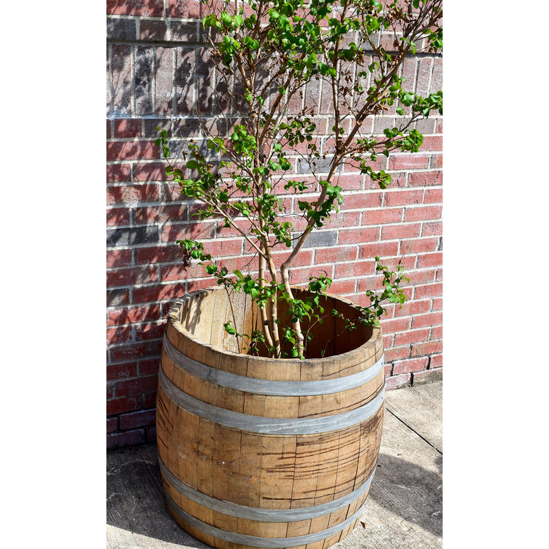 Wood Barrel Planter