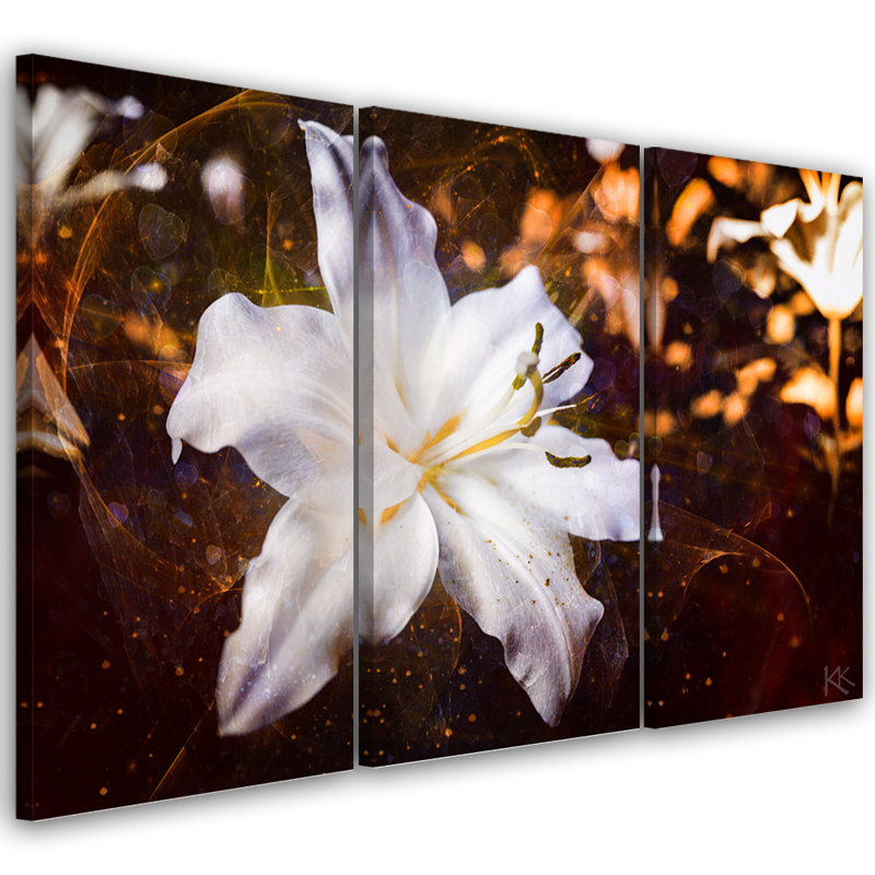 A White Lily On A Brown Background - 3 Piece No Frame Print on Canvas