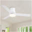 Ventilateurs de plafond 48 po