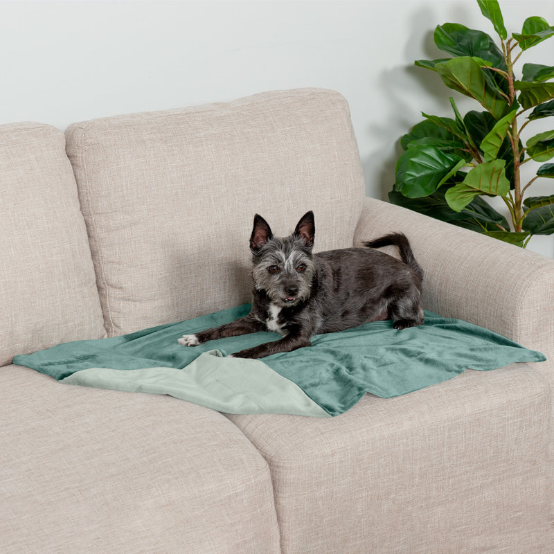 Waterproof Faux Velvet Throw Blanket, Celadon Green, 30" x 20"