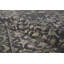 Cotton Oriental Area Rug in Brown
