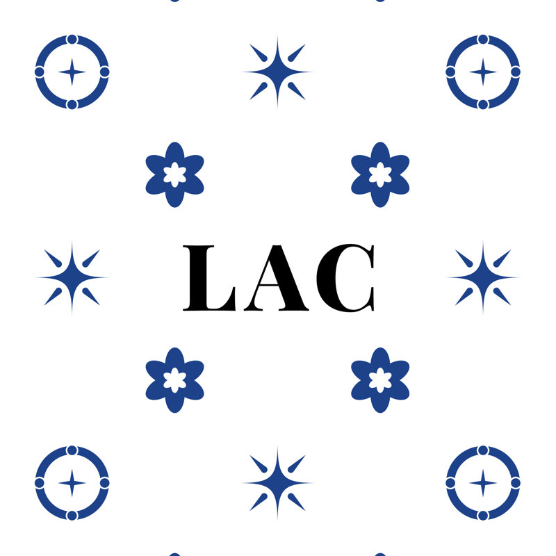 Oreiller 20 po x 14 po, Blanc, noir, bleu, LA, Coussin de tête de lit simple