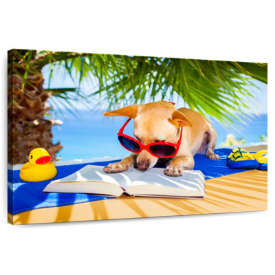 Chien ketti lisant sur la plage