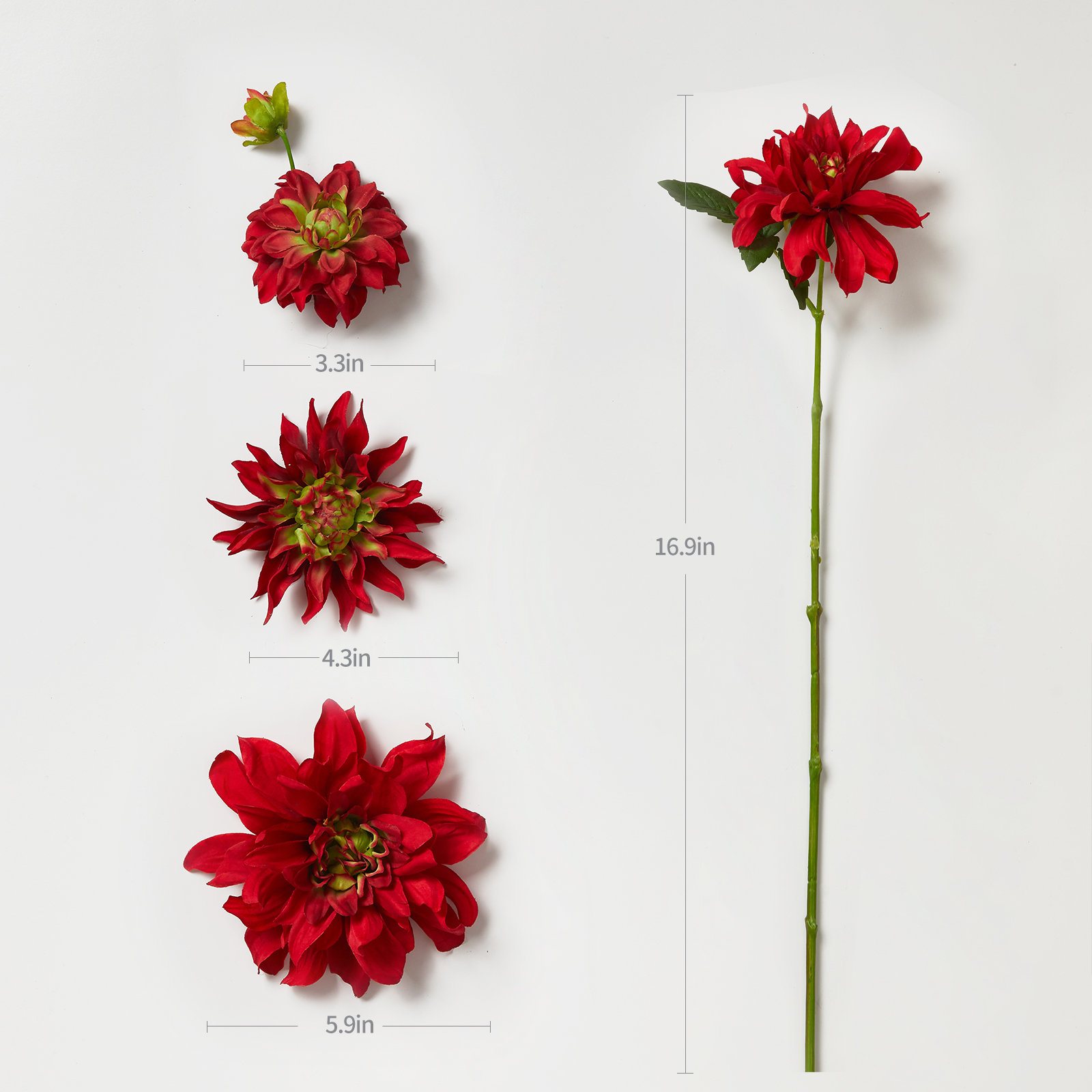 Dahlia Floral Stems, Red