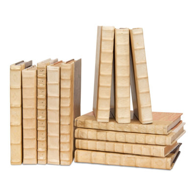 Leather and Paper 24 Piece Book Set