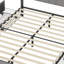 Barsky Velvet Upholstered Bed With 4 Drawers-1814740485