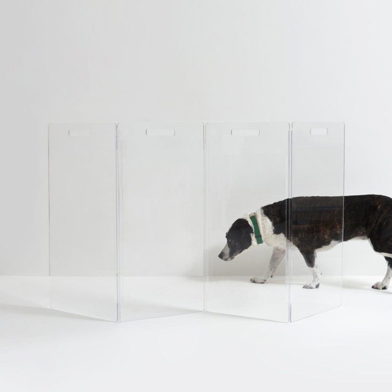 Tall Zig Zag Clear Pet Gate, 4-Panel, 30" H x 60" W x 0.25" D