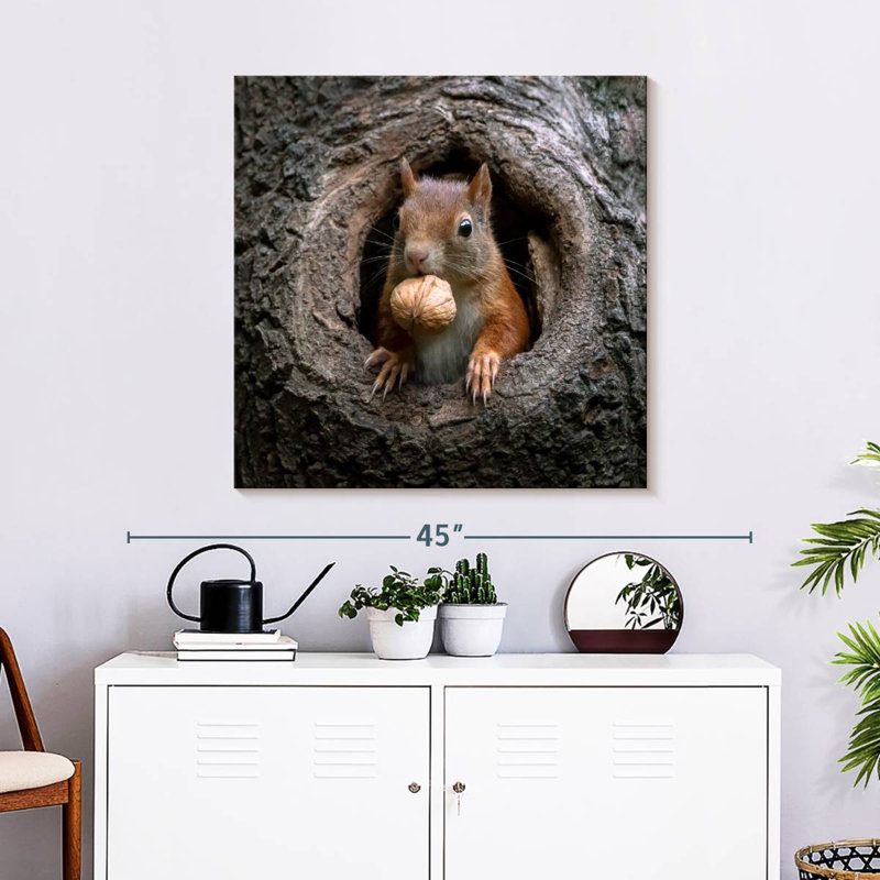 Crowle Squirrel dans un trou d'arbre, H 30 po x l 30 po