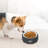 2 in 1 Pet Bowl Cat Dog Feeder Spill Proof Portable Travel