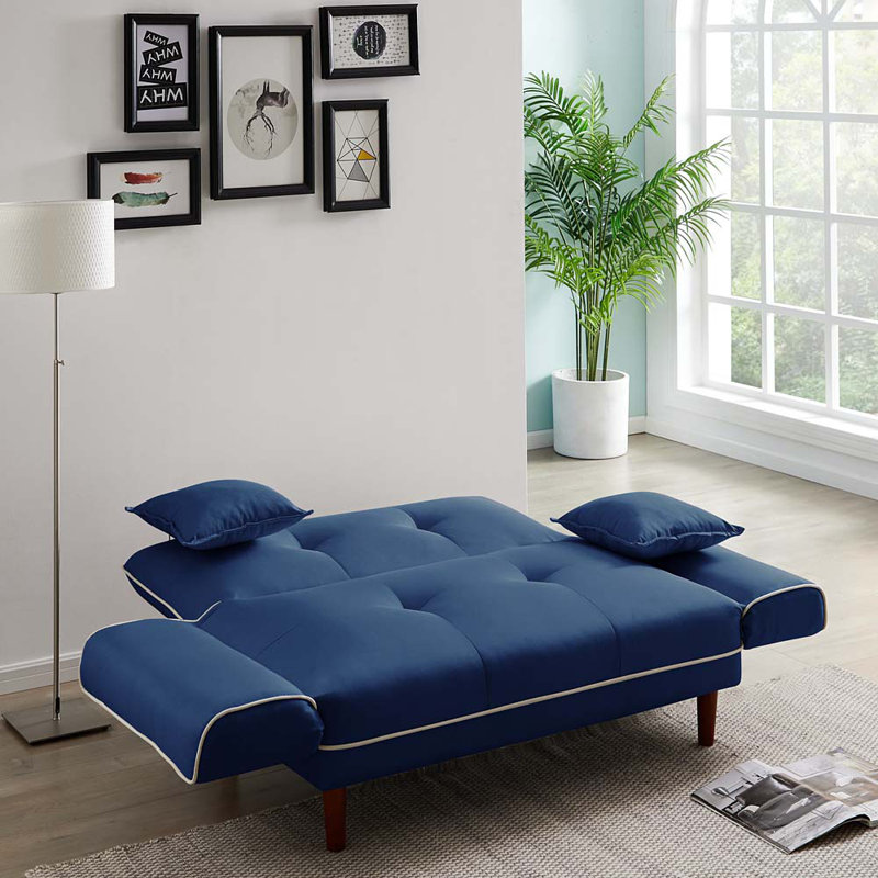 Sauget 56.5'' Sleeper with 2 Pillows,convertible sofa,couch