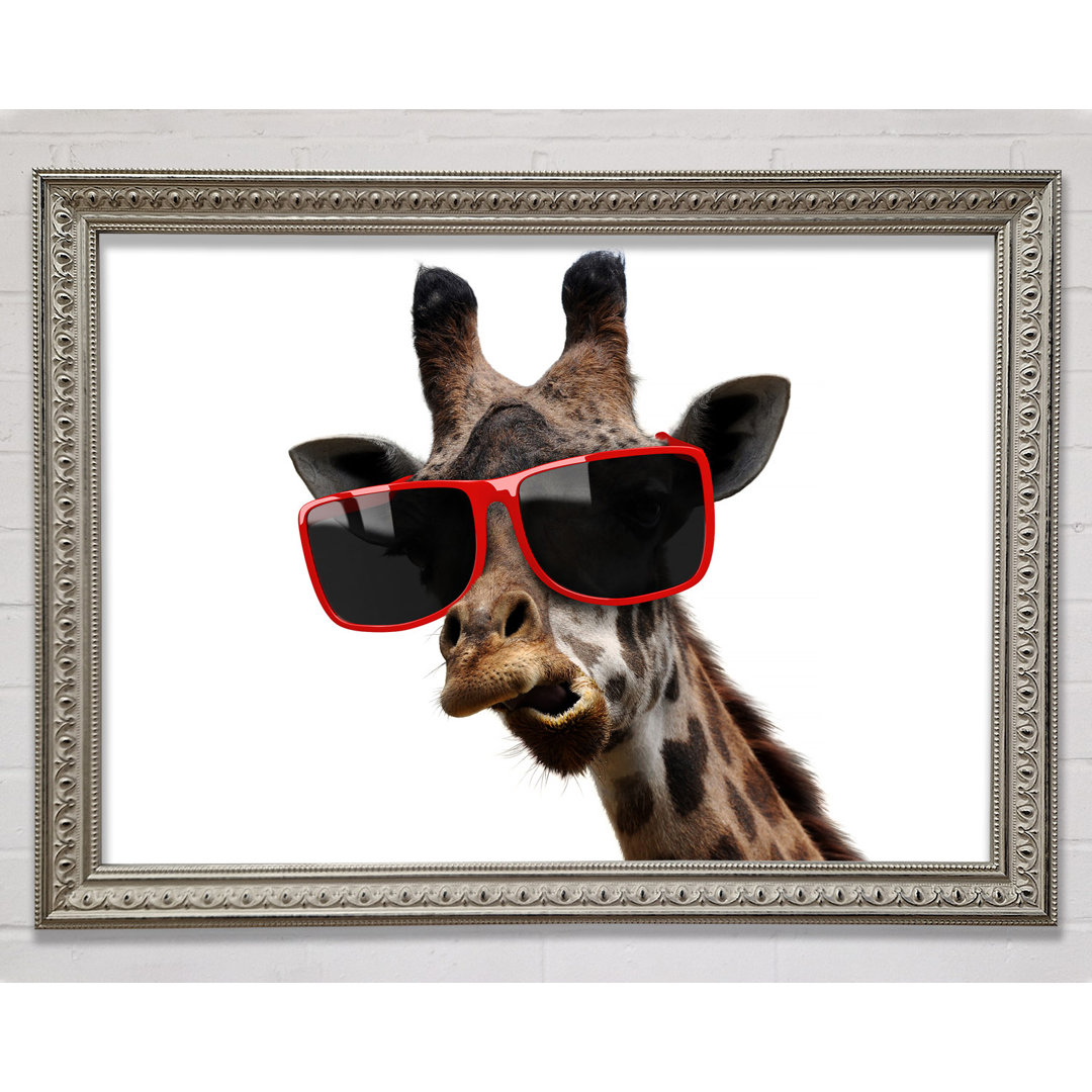 Funky Faced Giraffe Gerahmter Druck Wandkunst