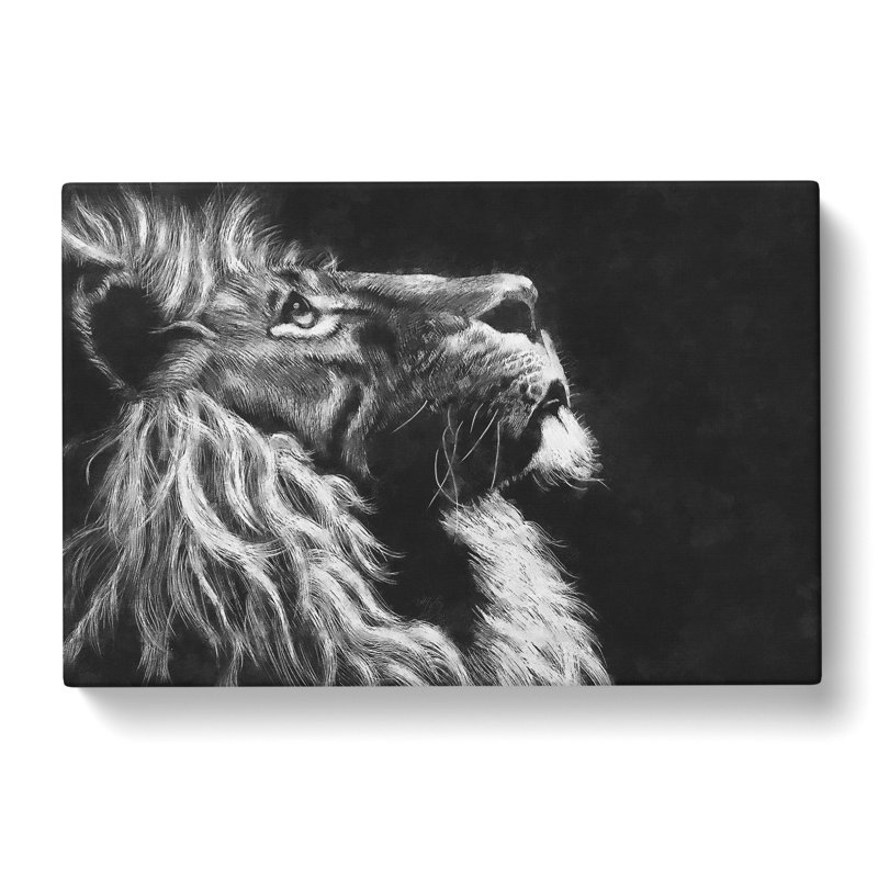 Majestic Lion Illustration - Wrapped Canvas Print, 60cm H x 91cm W x 3cm D