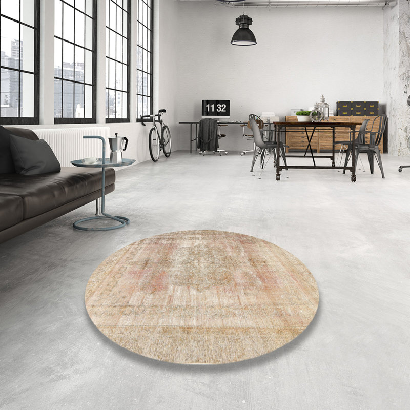 Demari Performance Oriental Indoor Rug, Round 3'