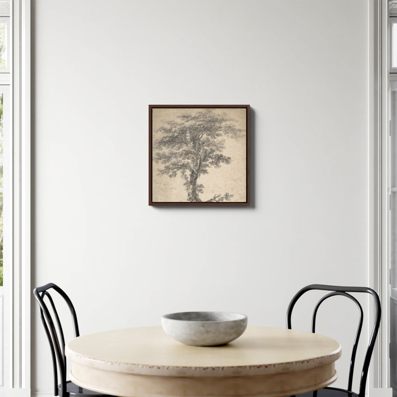 Étude d'un arbre imprimé par Jean Baptiste Pillement, Toile encadrée noyer flottant, Non, H 20 po x l 20 po