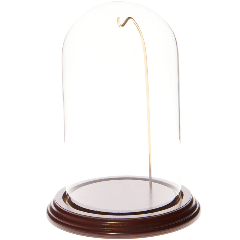 Cloche de dôme en verre pour montre / ornement 4 "x 7", Base en acajou / fil doré