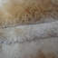 Bauman Solid Colour Hand Woven Shag Area Rug-1113505412