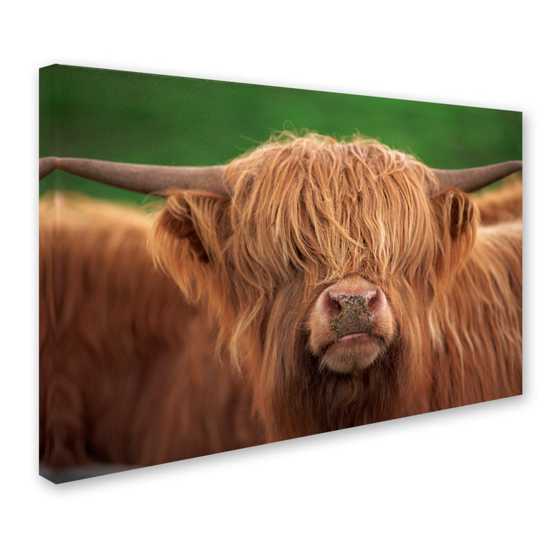 Ann «Yak», reproduction de photo sur toile tendue, H 22 po x l 32 po