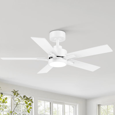 Ventilateur de plafond standard à DEL à 5 pales de 42 po avec télécommande et ensemble d'éclairage inclus Jeason