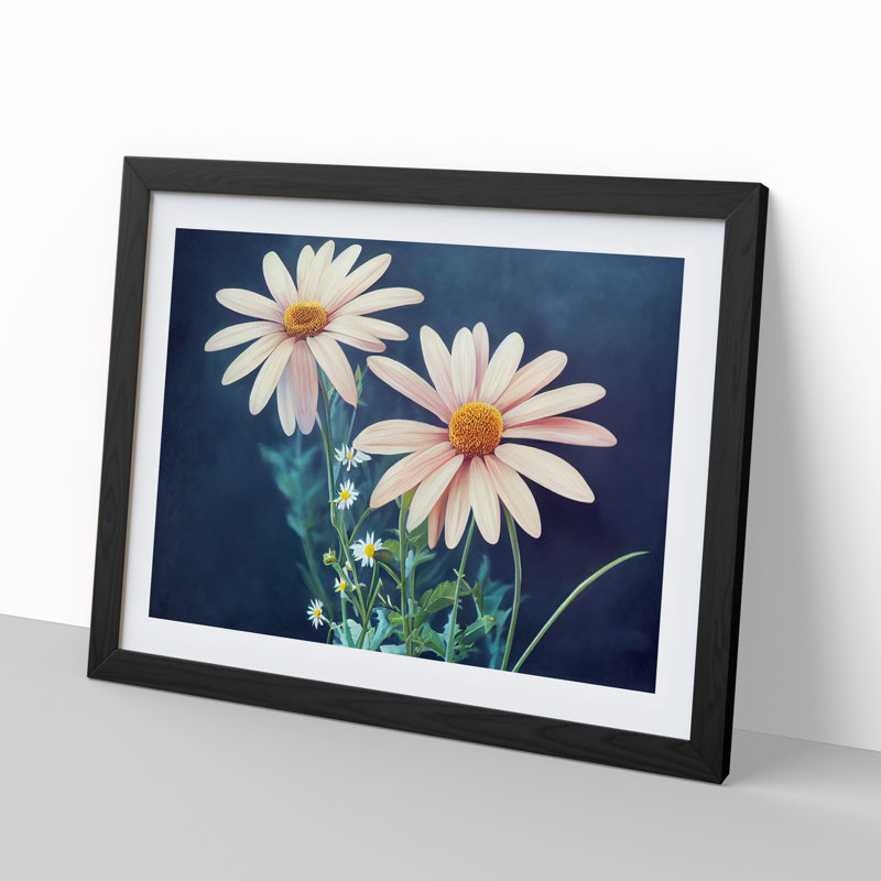 Beaming Daisy Flowers - Single Picture Frame Print, 46cm H x 64cm W x 2cm D, Black