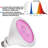 LED Indoor Garden Grow Light Full Spectrum Hydroponic Lighting for Planting