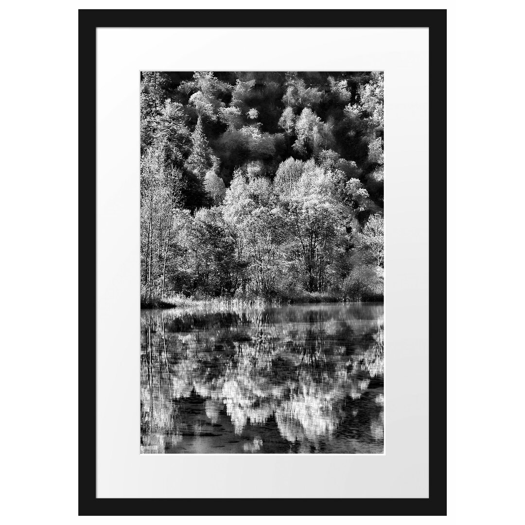 Gerahmtes Poster Herbstlicher Wald am See