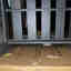 Customer photo 2 of 3