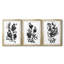 Cameo Bloom I - reproduction sur mesure encadrée de qualité supérieure - 3 pièces-291023605-291023609