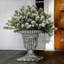 24" Snowy Sheffield Spruce Porch Bush With Twinkly LED Lights