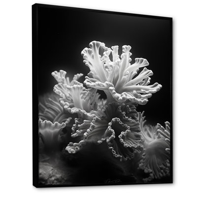 «Black and White Coral Anemone Kingdom», reproduction d'art sur toile plage et océan