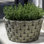 M Weave Handmade Pot Planter