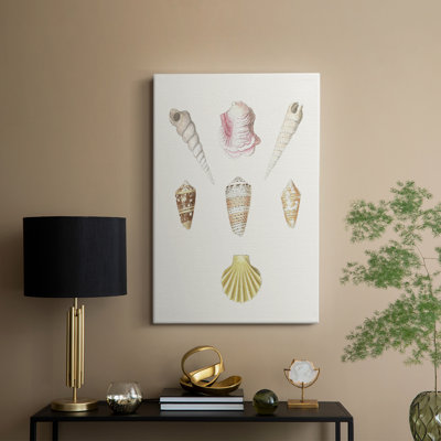 Pastel Knorr Shells I - Cavas enveloppés de galerie