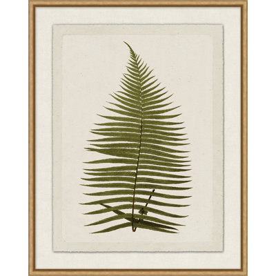 Plant Presses 6 Framed Graphic Art