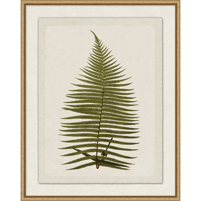 Presses à plantes 6