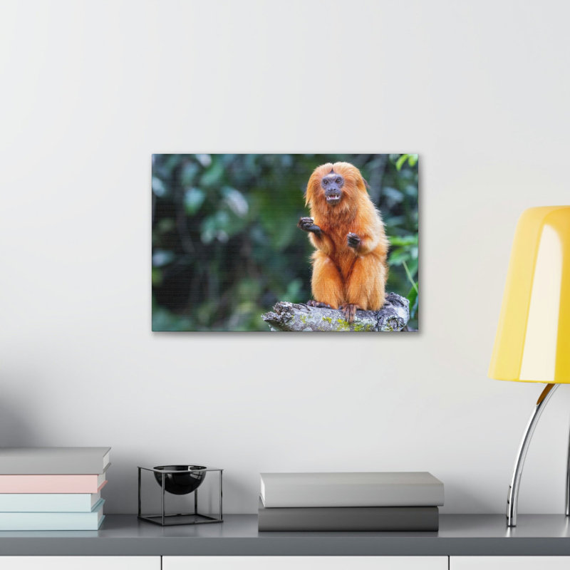 Wall Art on Canvas, 11cm H x 14cm W